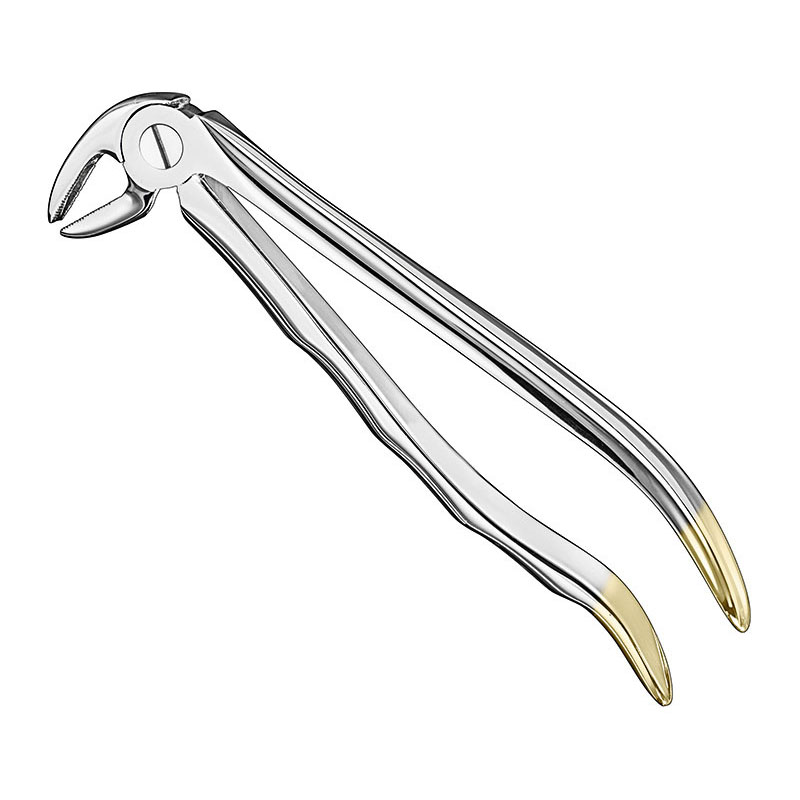 Extracting forceps, anat.