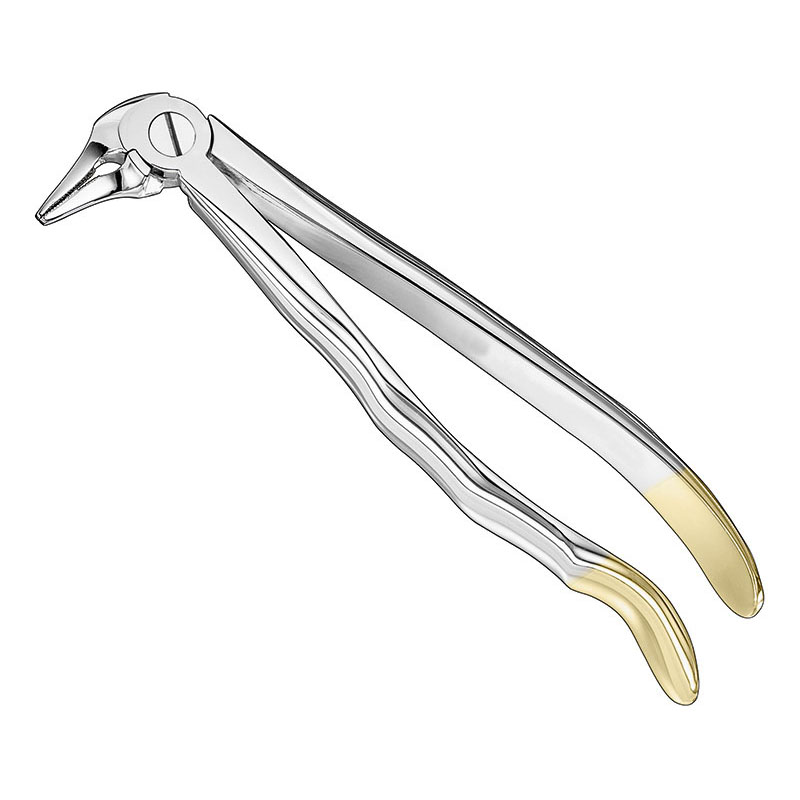 Extracting forceps, anat.