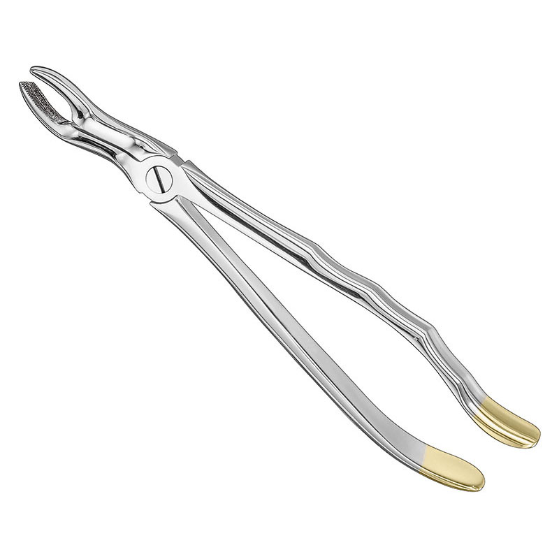 Extracting forceps, anat.