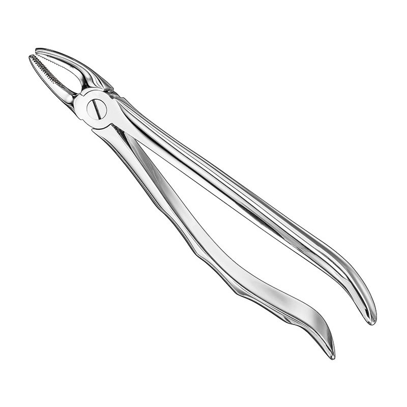 Extracting forceps, anat.